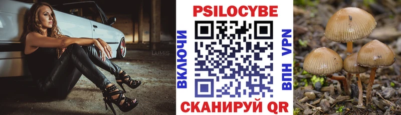 Галлюциногенные грибы мицелий  Анжеро-Судженск 